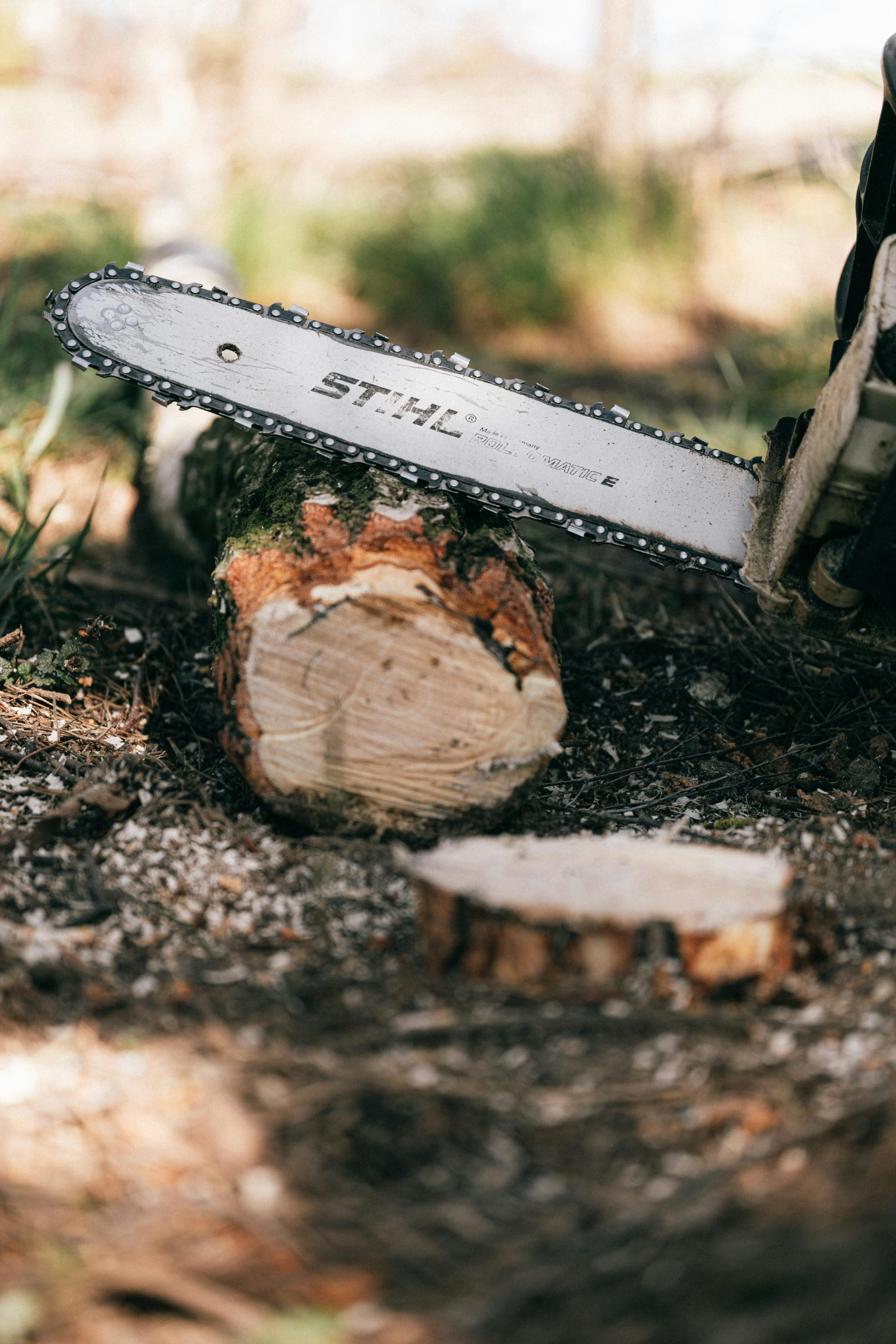 Comparing Stihl Chainsaw Models