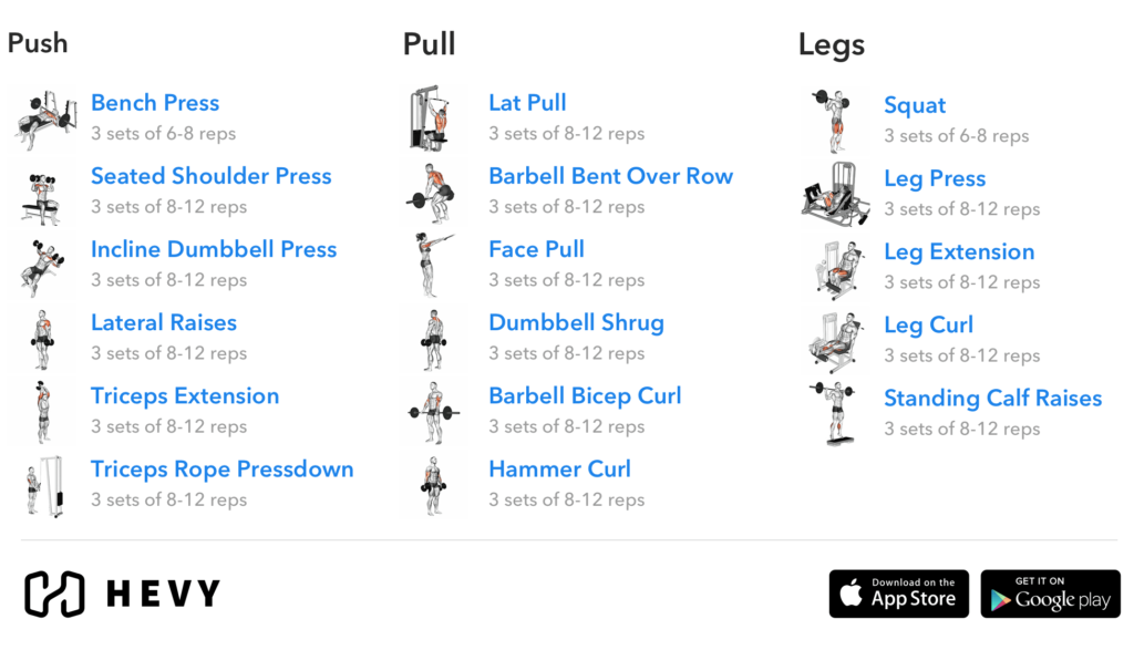 3er Split Trainingsplan PDF